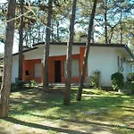 Allodola *