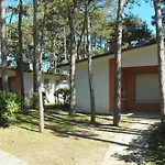 Allodola