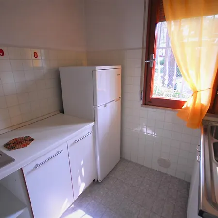 Allodola Lignano Sabbiadoro