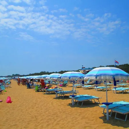 Allodola Lignano Sabbiadoro